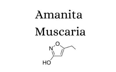 amanita muscaria formula